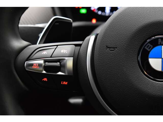 ＢＭＷ Ｘ２ Ｘドライブ２０Ｉ ＭスポーツＸ ４ＷＤ H30年 (関東) 99