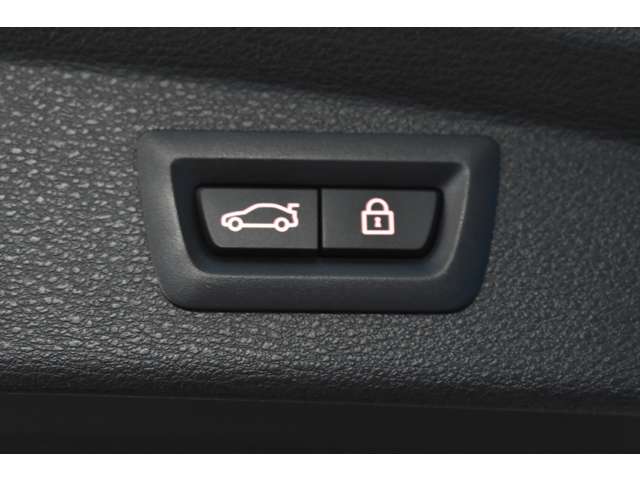 ＢＭＷ Ｘ２ Ｘドライブ２０Ｉ ＭスポーツＸ ４ＷＤ H30年 (関東) 99