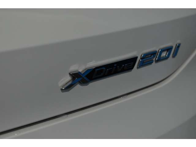 ＢＭＷ Ｘ２ Ｘドライブ２０Ｉ ＭスポーツＸ ４ＷＤ H30年 (関東) 99