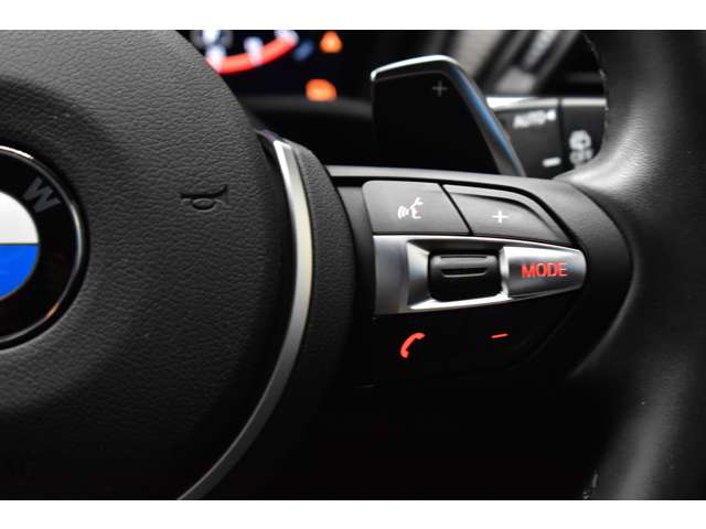 ＢＭＷ Ｘ２ Ｘドライブ２０Ｉ ＭスポーツＸ ４ＷＤ H30年 (関東) 99