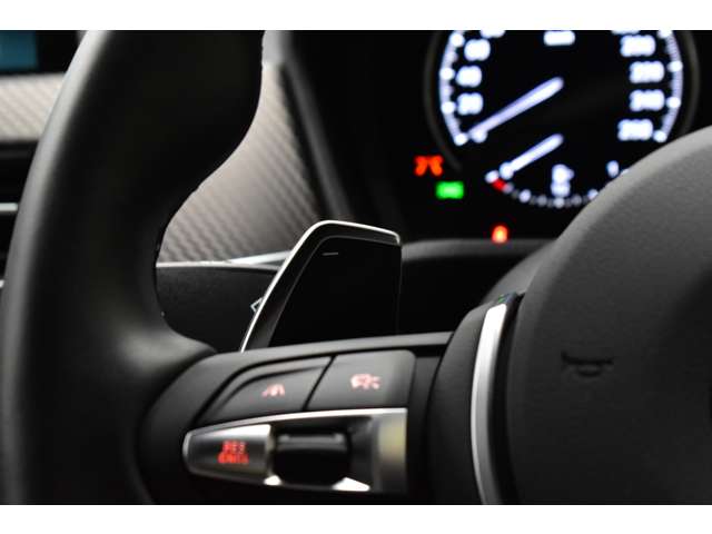 ＢＭＷ Ｘ２ Ｘドライブ２０Ｉ ＭスポーツＸ ４ＷＤ H30年 (関東) 99