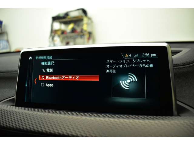 ＢＭＷ Ｘ２ Ｘドライブ２０Ｉ ＭスポーツＸ ４ＷＤ H30年 (関東) 99