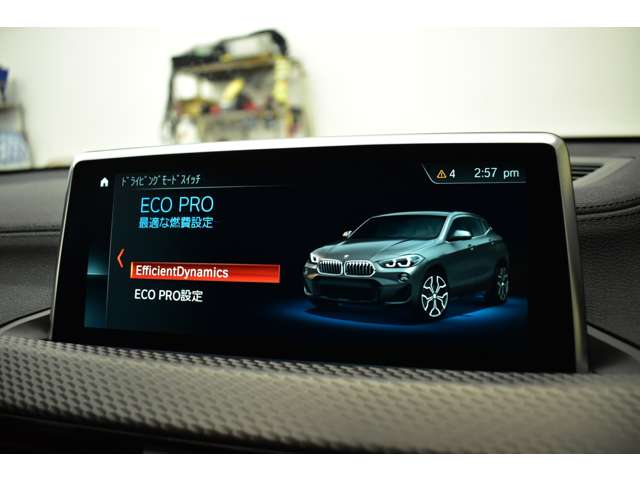 ＢＭＷ Ｘ２ Ｘドライブ２０Ｉ ＭスポーツＸ ４ＷＤ H30年 (関東) 99
