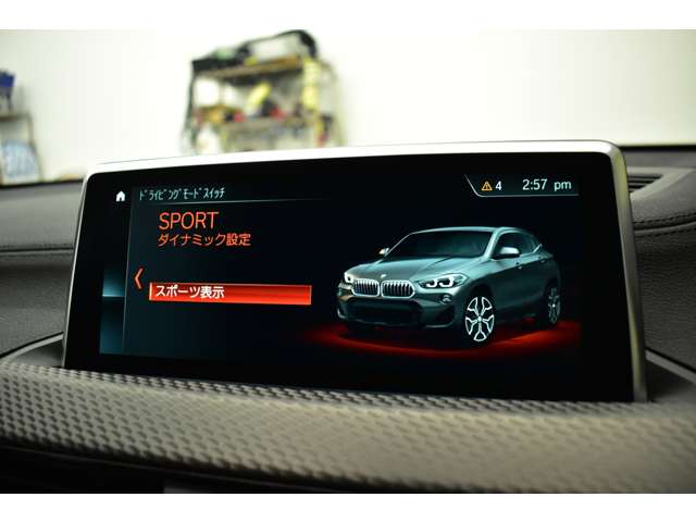 ＢＭＷ Ｘ２ Ｘドライブ２０Ｉ ＭスポーツＸ ４ＷＤ H30年 (関東) 99