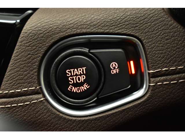 ＢＭＷ Ｘ２ Ｘドライブ２０Ｉ ＭスポーツＸ ４ＷＤ H30年 (関東) 99