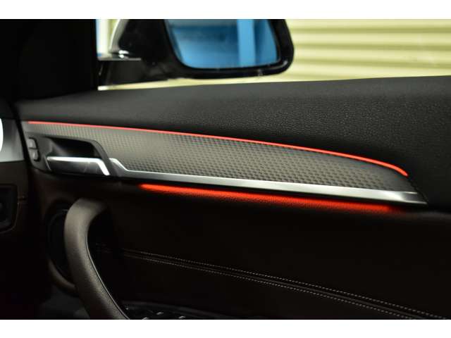 ＢＭＷ Ｘ２ Ｘドライブ２０Ｉ ＭスポーツＸ ４ＷＤ H30年 (関東) 99