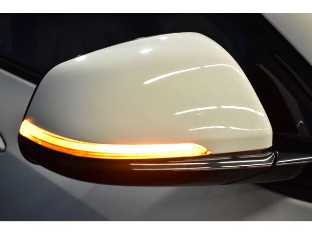 ＢＭＷ Ｘ２ Ｘドライブ２０Ｉ ＭスポーツＸ ４ＷＤ H30年 (関東) 99