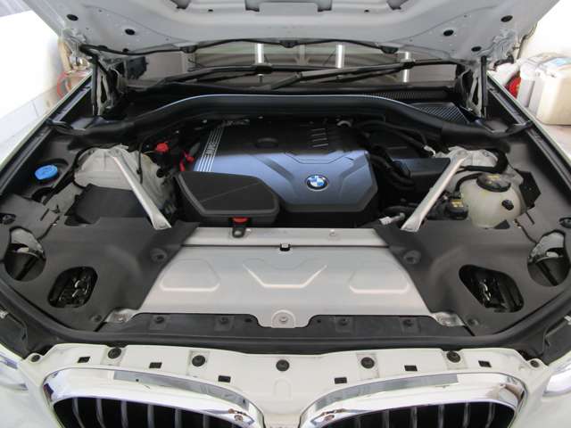 ＢＭＷ Ｘ４ Ｘドライブ３０Ｉ Ｍスポーツ ４ＷＤ R3年 (近畿) 99