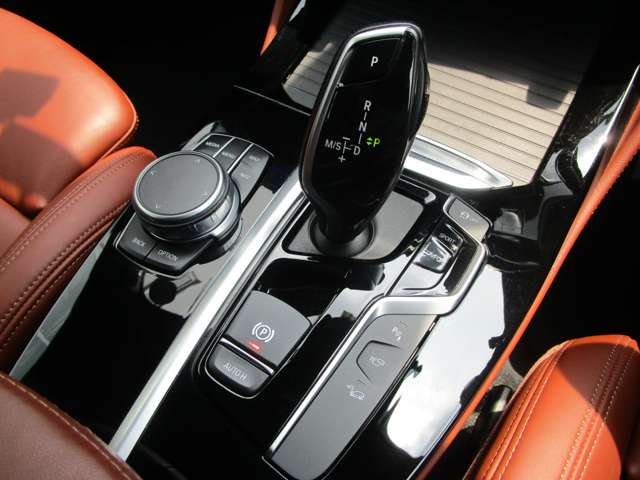 ＢＭＷ Ｘ４ Ｘドライブ３０Ｉ Ｍスポーツ ４ＷＤ R3年 (近畿) 99