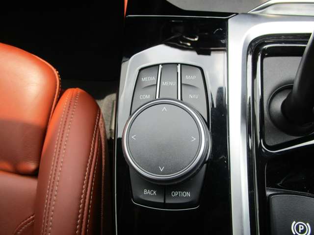 ＢＭＷ Ｘ４ Ｘドライブ３０Ｉ Ｍスポーツ ４ＷＤ R3年 (近畿) 99