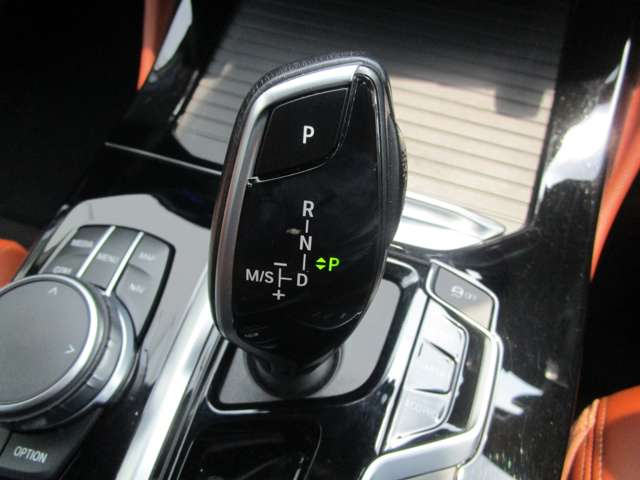 ＢＭＷ Ｘ４ Ｘドライブ３０Ｉ Ｍスポーツ ４ＷＤ R3年 (近畿) 99