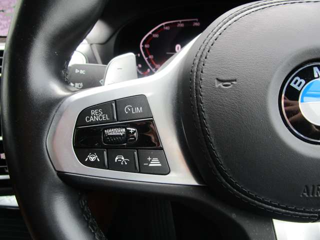 ＢＭＷ Ｘ４ Ｘドライブ３０Ｉ Ｍスポーツ ４ＷＤ R3年 (近畿) 99