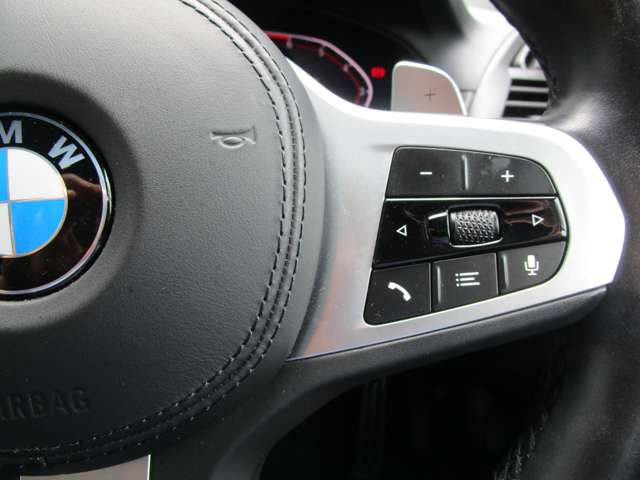 ＢＭＷ Ｘ４ Ｘドライブ３０Ｉ Ｍスポーツ ４ＷＤ R3年 (近畿) 99