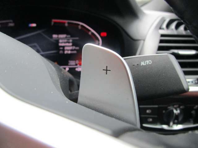 ＢＭＷ Ｘ４ Ｘドライブ３０Ｉ Ｍスポーツ ４ＷＤ R3年 (近畿) 99