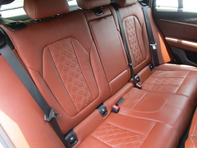 ＢＭＷ Ｘ４ Ｘドライブ３０Ｉ Ｍスポーツ ４ＷＤ R3年 (近畿) 99