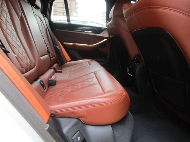 ＢＭＷ Ｘ４ Ｘドライブ３０Ｉ Ｍスポーツ ４ＷＤ R3年 (近畿) 99