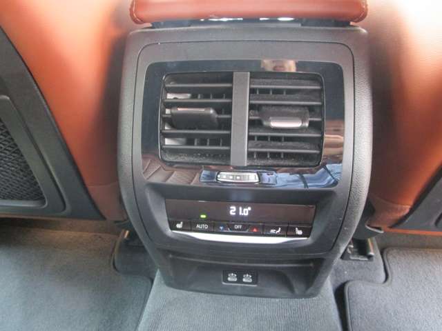 ＢＭＷ Ｘ４ Ｘドライブ３０Ｉ Ｍスポーツ ４ＷＤ R3年 (近畿) 99