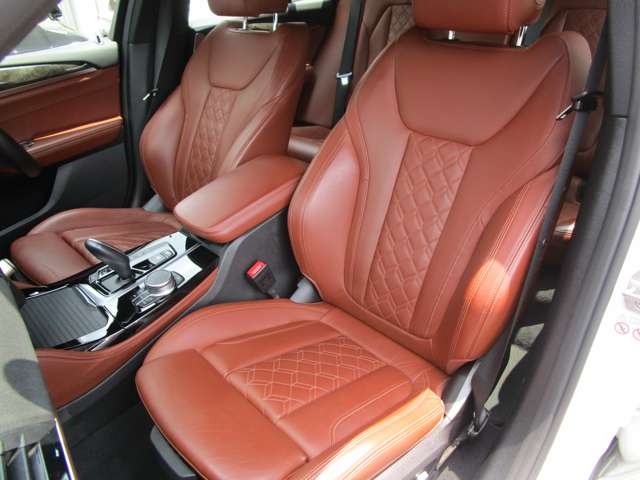 ＢＭＷ Ｘ４ Ｘドライブ３０Ｉ Ｍスポーツ ４ＷＤ R3年 (近畿) 99