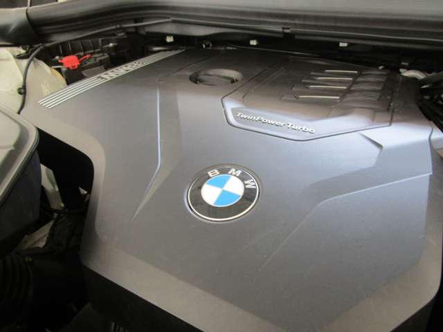 ＢＭＷ Ｘ４ Ｘドライブ３０Ｉ Ｍスポーツ ４ＷＤ R3年 (近畿) 99