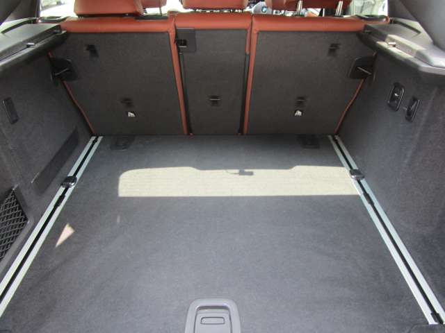 ＢＭＷ Ｘ４ Ｘドライブ３０Ｉ Ｍスポーツ ４ＷＤ R3年 (近畿) 99