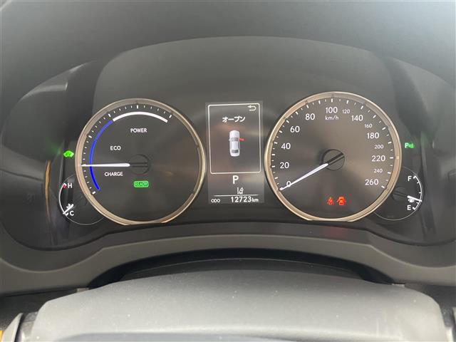 レクサス ＩＳ３００ｈ バージョンＬ R1年 (東海) 99