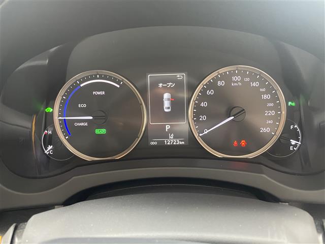 レクサス ＩＳ３００ｈ バージョンＬ R1年 (東海) 99