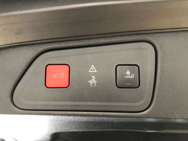 プジョー ３００８ ＧＴ ブルーＨＤＩ ディーゼルターボ R1年 (東北) 99