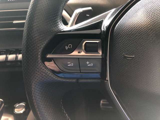 プジョー ３００８ ＧＴ ブルーＨＤＩ ディーゼルターボ R1年 (東北) 99