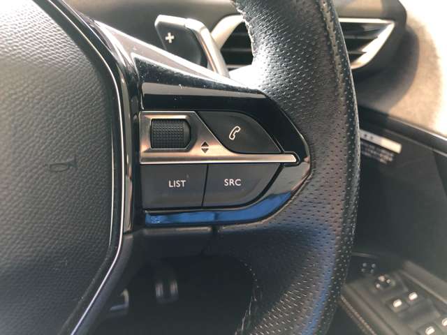 プジョー ３００８ ＧＴ ブルーＨＤＩ ディーゼルターボ R1年 (東北) 99