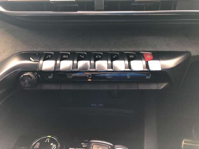 プジョー ３００８ ＧＴ ブルーＨＤＩ ディーゼルターボ R1年 (東北) 99