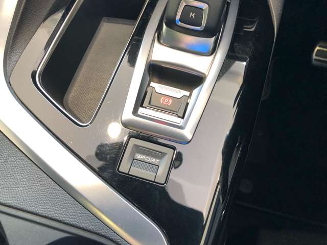 プジョー ３００８ ＧＴ ブルーＨＤＩ ディーゼルターボ R1年 (東北) 99