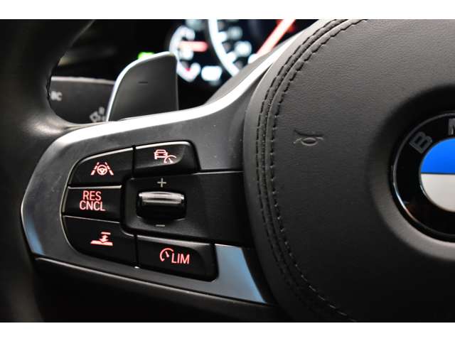 ＢＭＷ ５シリーズ ５２３Ｄ Ｍスポーツ ディーゼルターボ H29年 (関東) 99