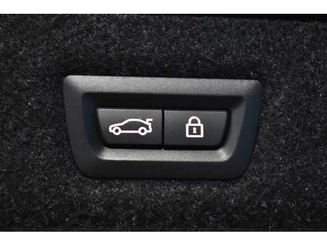 ＢＭＷ ５シリーズ ５２３Ｄ Ｍスポーツ ディーゼルターボ H29年 (関東) 99