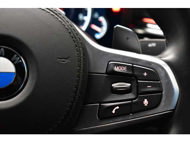 ＢＭＷ ５シリーズ ５２３Ｄ Ｍスポーツ ディーゼルターボ H29年 (関東) 99