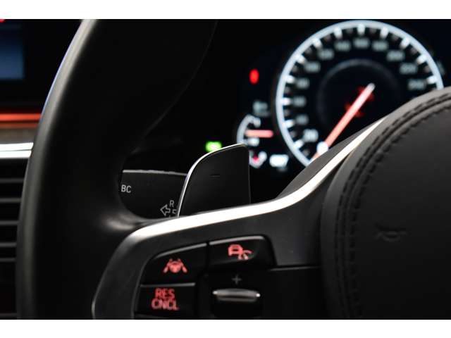 ＢＭＷ ５シリーズ ５２３Ｄ Ｍスポーツ ディーゼルターボ H29年 (関東) 99