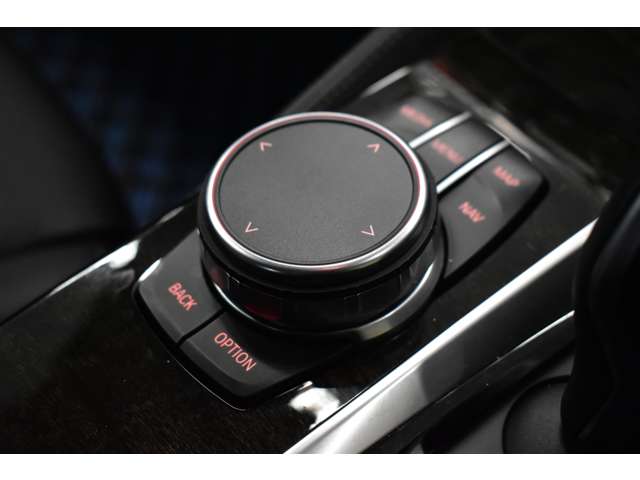 ＢＭＷ ５シリーズ ５２３Ｄ Ｍスポーツ ディーゼルターボ H29年 (関東) 99