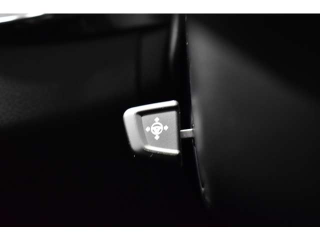 ＢＭＷ ５シリーズ ５２３Ｄ Ｍスポーツ ディーゼルターボ H29年 (関東) 99