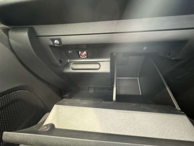 シトロエン Ｃ３ ＭＯＤＥＲＮ ＳＡＬＯＮ R3年 (中国) 99