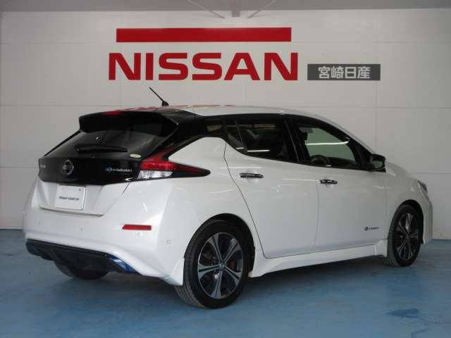 日産 リーフ Ｇ H30年 (九州・沖縄) 99