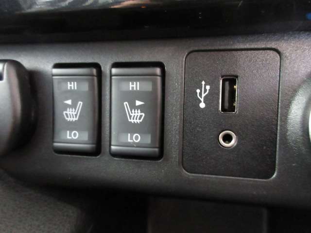 日産 リーフ Ｇ H30年 (九州・沖縄) 99