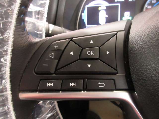 日産 リーフ Ｇ H30年 (九州・沖縄) 99