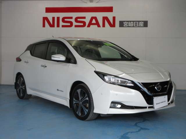 日産 リーフ Ｇ H30年 (九州・沖縄) 99