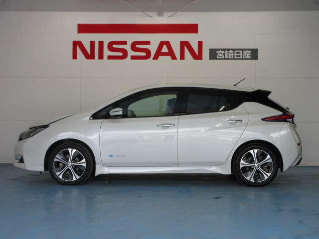日産 リーフ Ｇ H30年 (九州・沖縄) 99