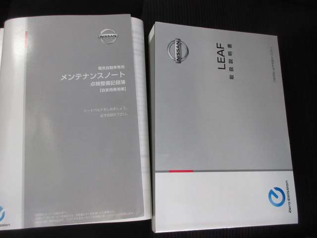 日産 リーフ Ｇ H30年 (九州・沖縄) 99