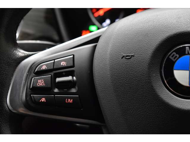 ＢＭＷ Ｘ１ Ｘドライブ １８Ｄ Ｘライン ４ＷＤ H30年 (関東) 99