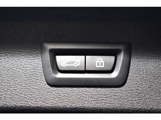 ＢＭＷ Ｘ１ Ｘドライブ １８Ｄ Ｘライン ４ＷＤ H30年 (関東) 99