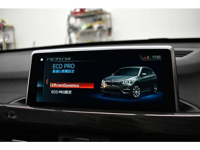 ＢＭＷ Ｘ１ Ｘドライブ １８Ｄ Ｘライン ４ＷＤ H30年 (関東) 99