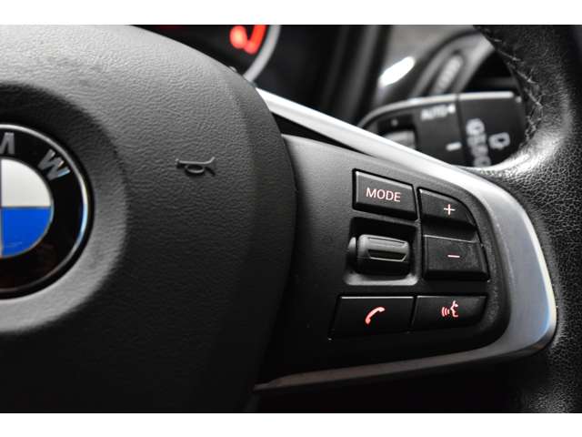 ＢＭＷ Ｘ１ Ｘドライブ １８Ｄ Ｘライン ４ＷＤ H30年 (関東) 99