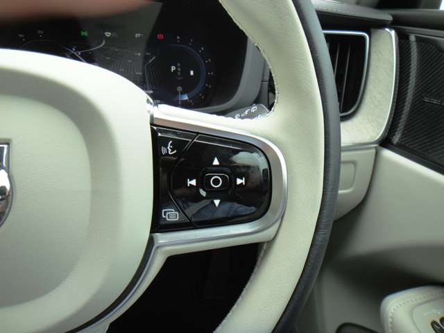 ボルボ ＸＣ６０ アルティメット Ｂ５ ＡＷＤ ４ＷＤ R6年 (東北) 99