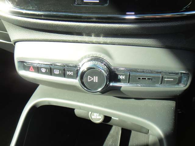 ボルボ ＸＣ４０リチャージ アルティメット シングルモーター R5年 (東北) 99